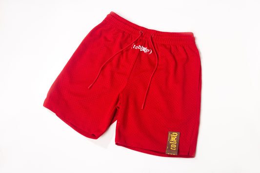 Red “TODAY” Mesh Shorts